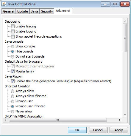 Java 2 Runtime Environment — zrzut ekranu 1